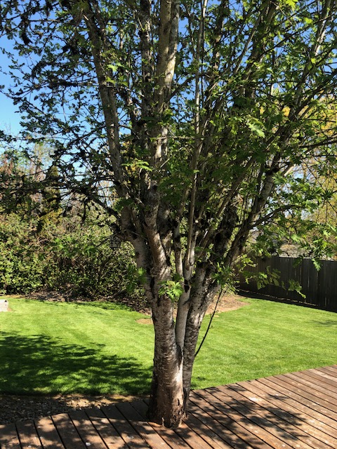 60814974341__32E1B083-B087-4780-8D37-B905CC237A87